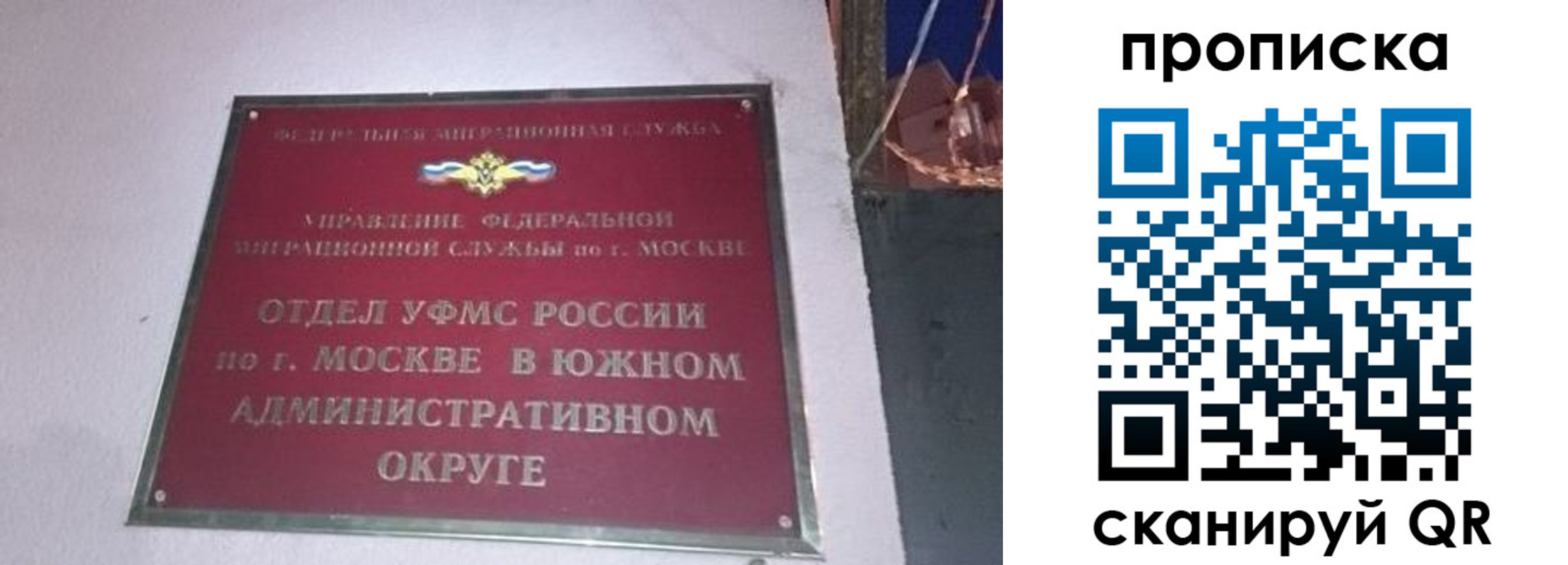 найти адрес прописки в Протвино